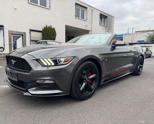 Ford Mustang Gebrauchtwagen