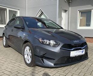 Kia ceed / Ceed Gebrauchtwagen