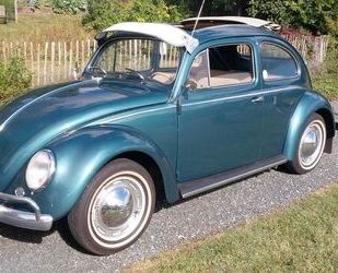 VW Käfer Gebrauchtwagen