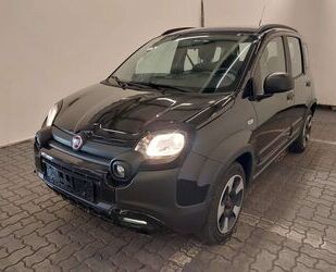 Fiat Panda Gebrauchtwagen