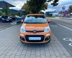 Fiat Panda Gebrauchtwagen