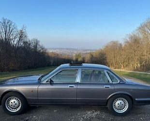 Jaguar XJ40 Gebrauchtwagen