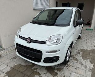 Fiat New Panda Gebrauchtwagen