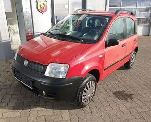Fiat Panda Gebrauchtwagen