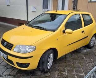 Fiat Punto Gebrauchtwagen