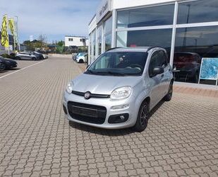 Fiat Panda Gebrauchtwagen