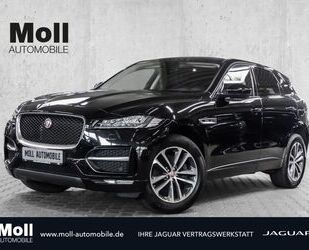 Jaguar F-Pace Gebrauchtwagen