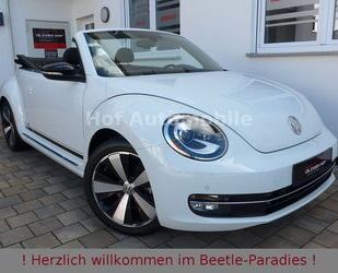 VW Beetle Gebrauchtwagen