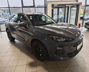 Cupra Terramar Gebrauchtwagen