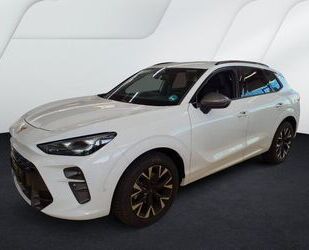 Cupra Terramar Gebrauchtwagen