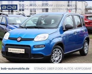 Fiat Panda Gebrauchtwagen