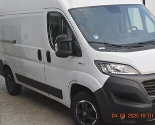 Fiat Ducato Gebrauchtwagen
