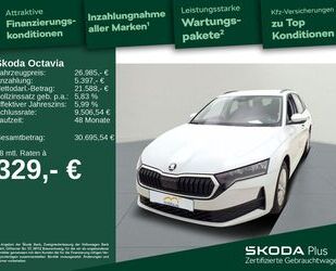 Skoda Octavia Gebrauchtwagen
