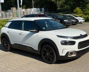 Citroen C4 Cactus Gebrauchtwagen