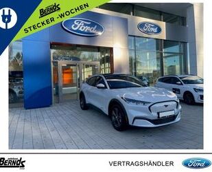 Ford Mustang Mach-E Gebrauchtwagen