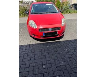 Fiat Punto Gebrauchtwagen