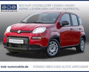 Fiat Panda Gebrauchtwagen