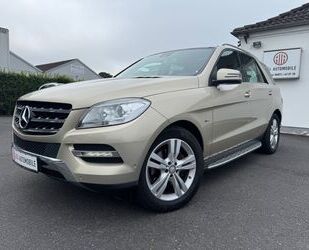 Mercedes-Benz ML 250 Gebrauchtwagen
