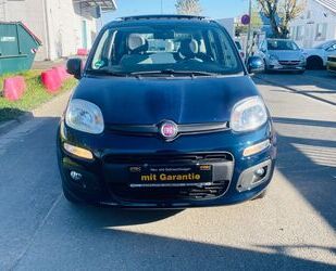 Fiat Panda Gebrauchtwagen