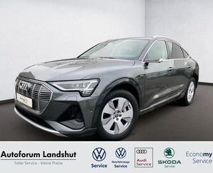 Audi e-tron Gebrauchtwagen