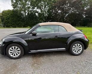 VW Beetle Gebrauchtwagen