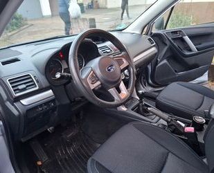 Subaru Forester Gebrauchtwagen