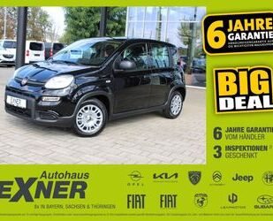 Fiat Panda Gebrauchtwagen