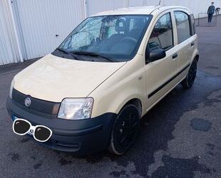 Fiat Panda Gebrauchtwagen
