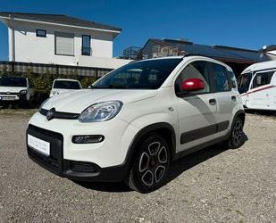 Fiat Panda Gebrauchtwagen