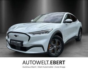 Ford Mustang Mach-E Gebrauchtwagen