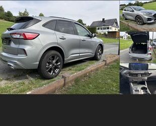 Ford Kuga Gebrauchtwagen