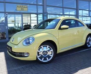 VW Beetle Gebrauchtwagen
