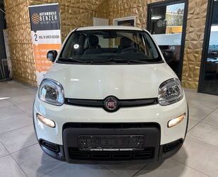 Fiat Panda Gebrauchtwagen