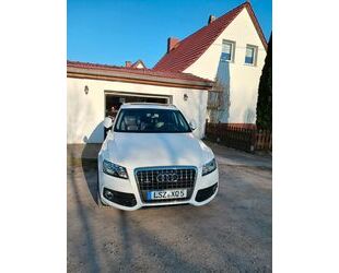 Audi Q5 Gebrauchtwagen