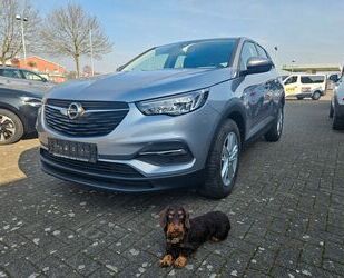 Opel Grandland (X) Gebrauchtwagen