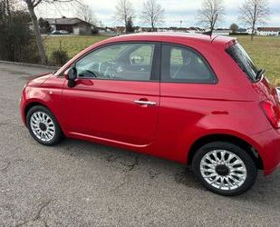 Fiat 500 Gebrauchtwagen