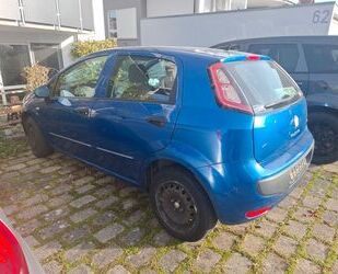 Fiat Punto Evo Gebrauchtwagen