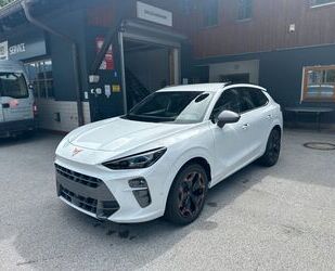 Cupra Terramar Gebrauchtwagen