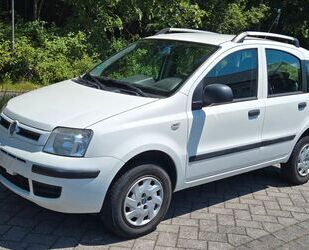 Fiat Panda Gebrauchtwagen