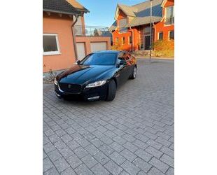 Jaguar XF Gebrauchtwagen