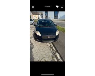 Fiat Punto Gebrauchtwagen
