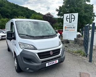 Fiat Ducato Gebrauchtwagen