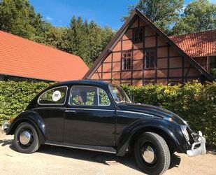 VW Käfer Gebrauchtwagen
