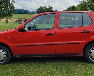VW Polo Gebrauchtwagen