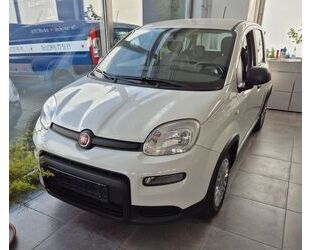 Fiat Panda Gebrauchtwagen