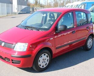 Fiat Panda Gebrauchtwagen