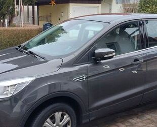 Ford Kuga Gebrauchtwagen
