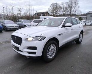 Jaguar F-Pace Gebrauchtwagen