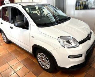 Fiat Panda Gebrauchtwagen