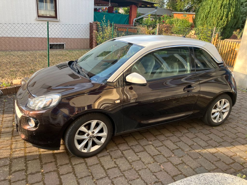 Bild 1